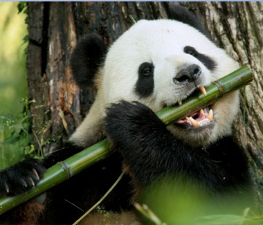 Zoo panders to new guests