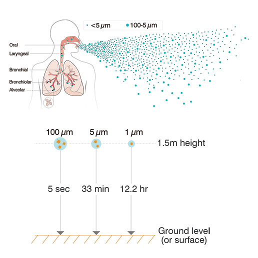 Ventilation and Covid-19