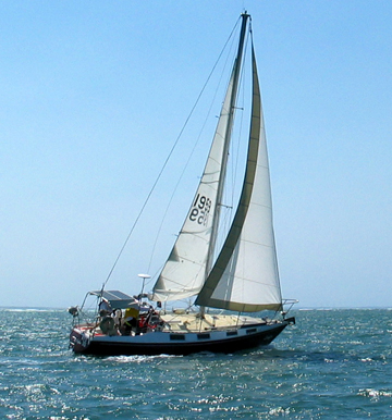 Splashing around the bay for Variety